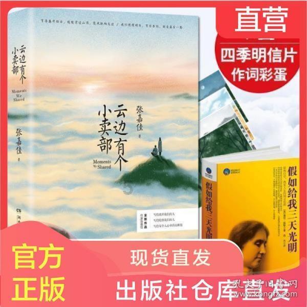 调兵遣将飞机打击