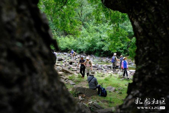 中国地震局解析新疆7.1级地震:典型逆断层型地震