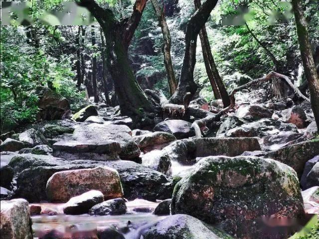 美发沙龙设计师