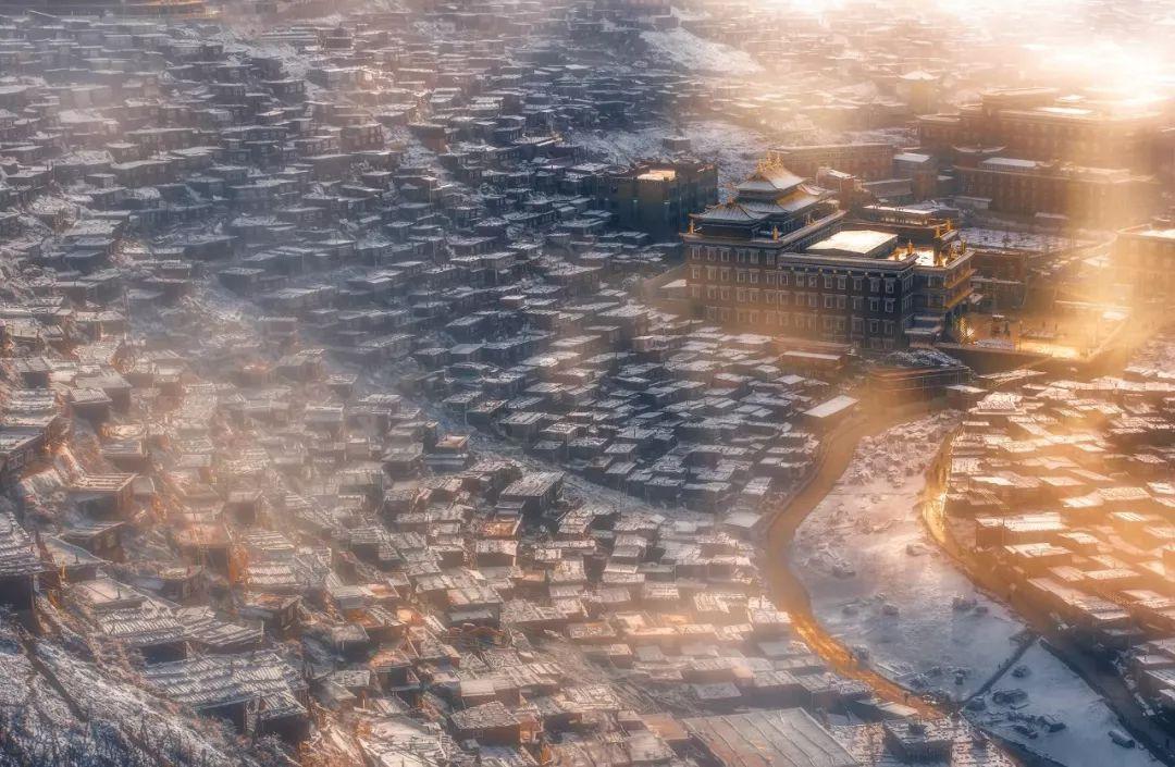 虫虫助手下载