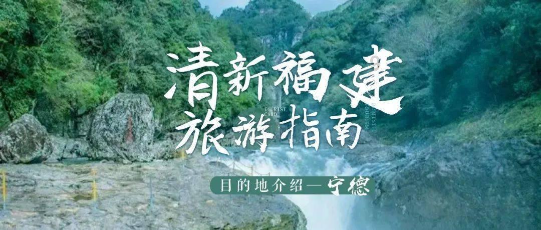 燃烧吧大脑免广告最新版