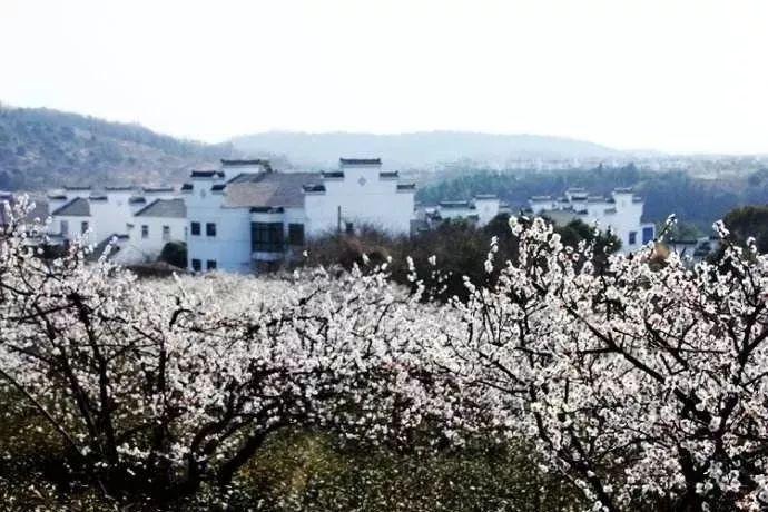 逃出塞里洛斯村