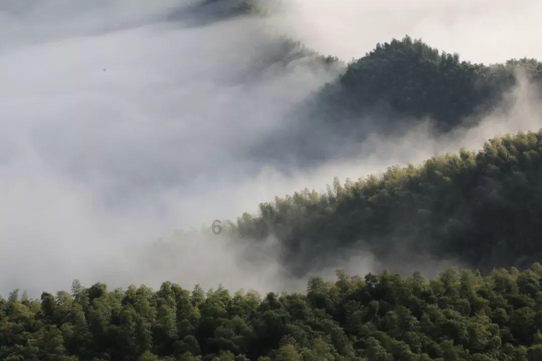 马克思佩恩3
