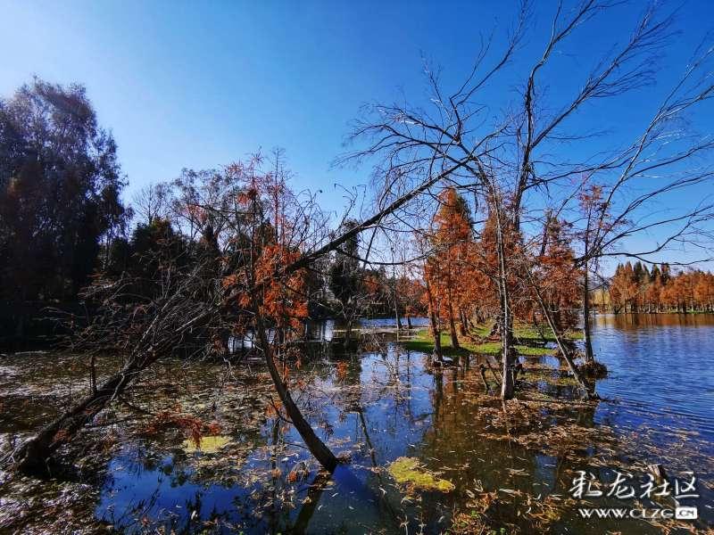 探索问答 - tcl智能电视可以连接无线网络吗的综合问答平台