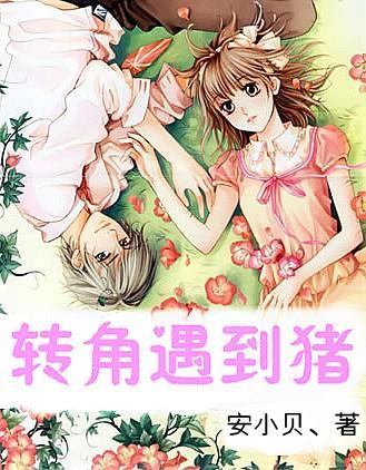 月光影视