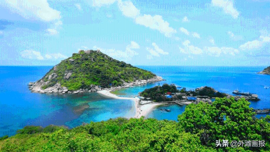 沪江开心词场