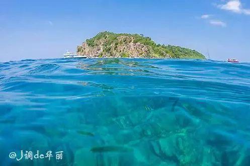 微信红包与转账有何区别？律师：微信红包更倾向于一种礼物，一般认定为赠与