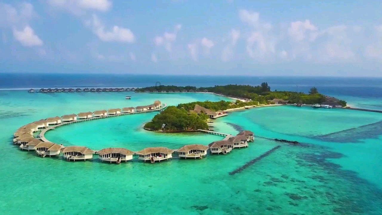 天津市召开2024年商务工作会议