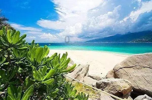 逃离水虎鱼湖