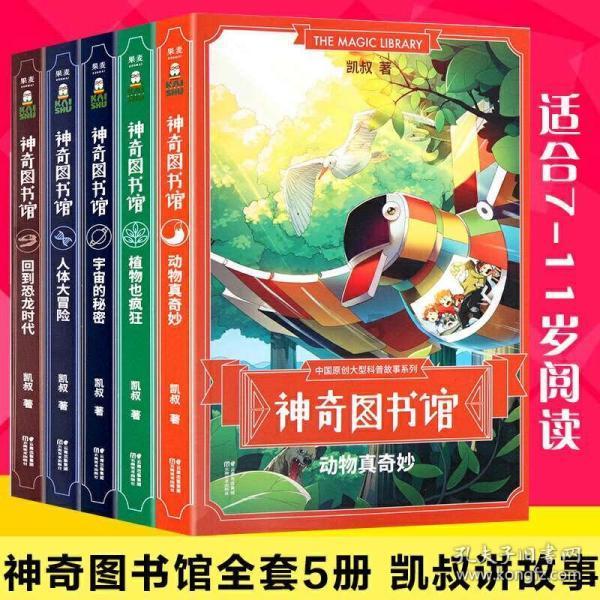 标致汽车找钥匙