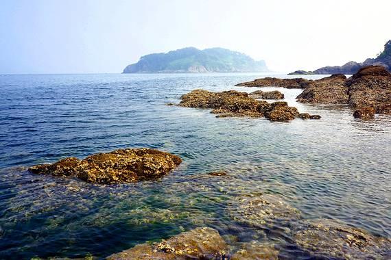肠道功能受损后，容易引发哪6种异常表现，你知道吗？游戏画面