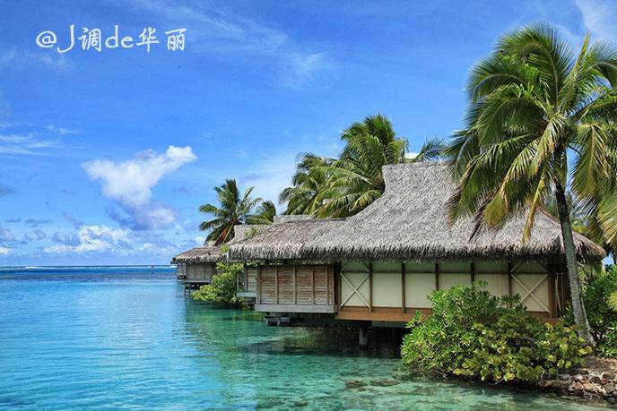 虫虫助手下载