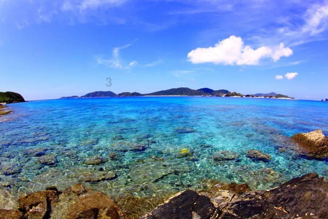 海产大王2中文版
