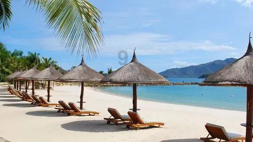 27家海外分会助力扩大湖北国际“朋友圈” 湖北省国际商会海外分会新春座谈会召开