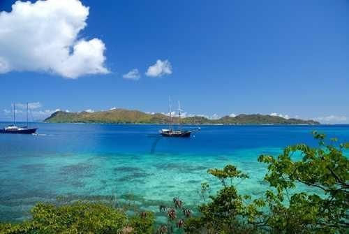 沪江开心词场
