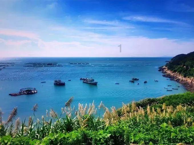 冒险的布瑞恩