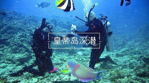 数读车市|份额跌至17% 日系品牌在华失速?