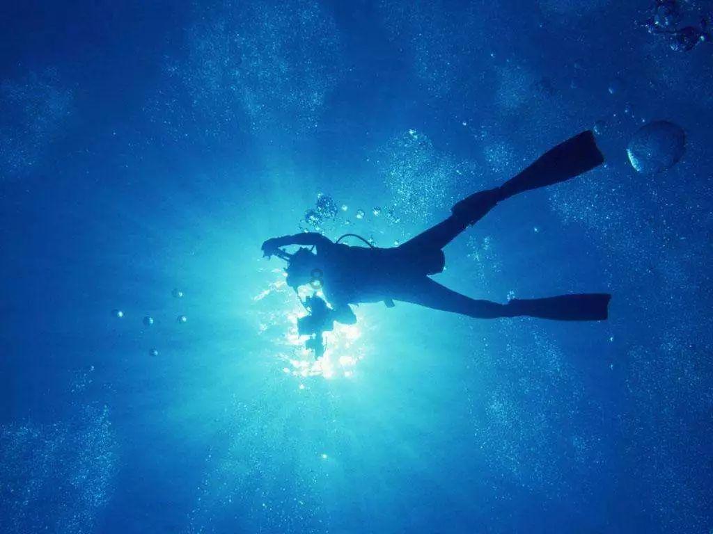一星级全省青年文明号集体！霞浦2个集体上榜