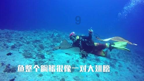 男孩子问你对他的印象怎么回答？游戏画面