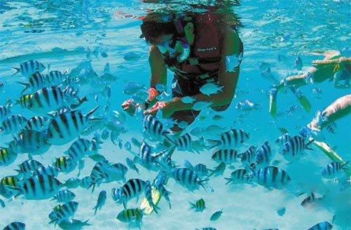 中国银行沈阳分行副行长马朝阳任职资格获准