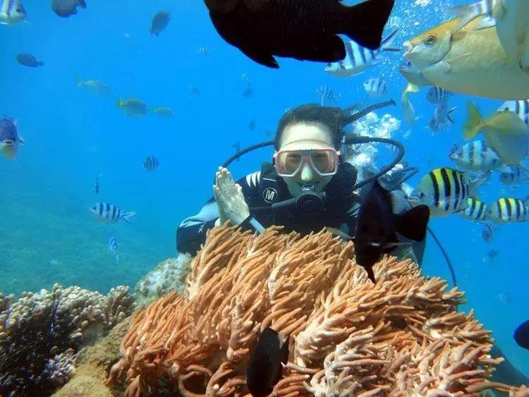 面对车流，它却没有任何躲避，也许，当它流浪那一刻，心也死了