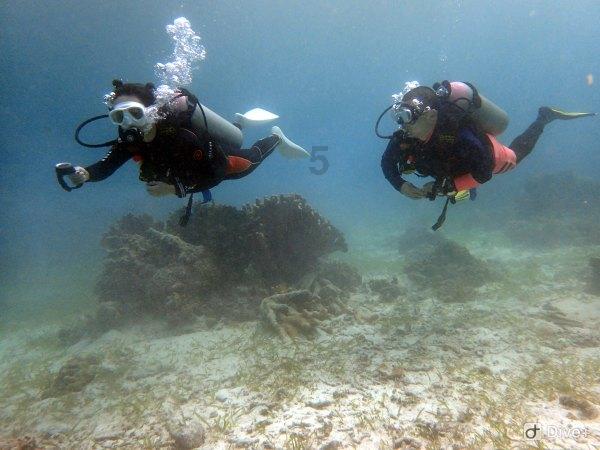 铁路春运启动 天津各火车站客流高峰是哪几天?