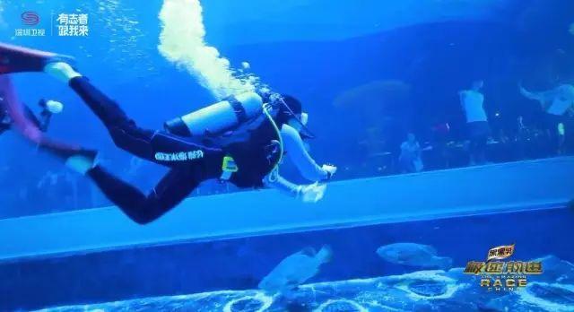 生物进化论Hyper Evolution游戏下载游戏画面