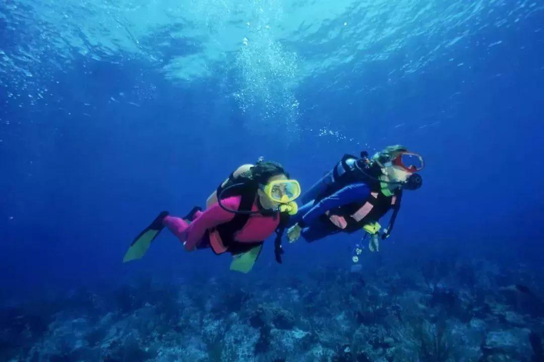 加入榴莲苗和玉米种一起会死吗?知识星球,开启知识新纪元!
