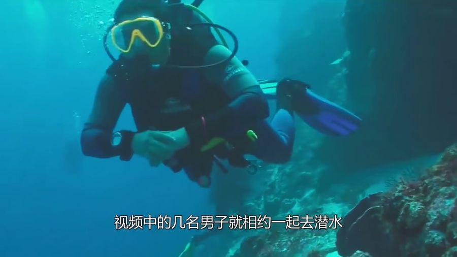埃及坟墓的秘密