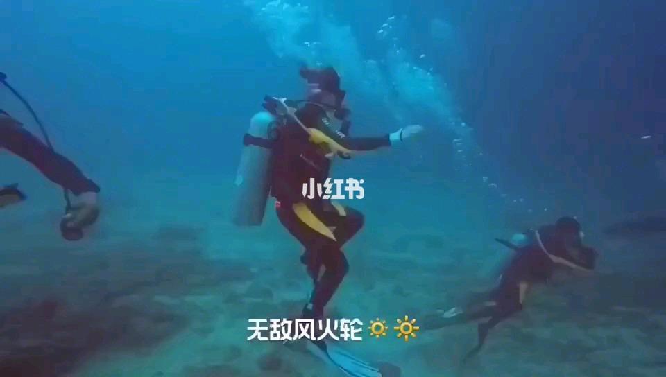 逃离原木色房屋