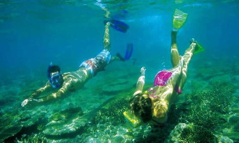 夏季热带海滩逃生