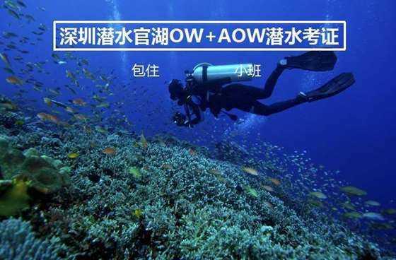 矿工打地鼠