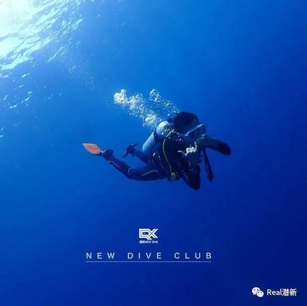 如果说单曲是段子,专辑才是更有主题的专场