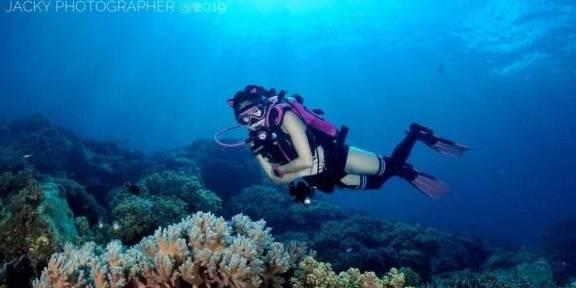 19个新签项目全部落地