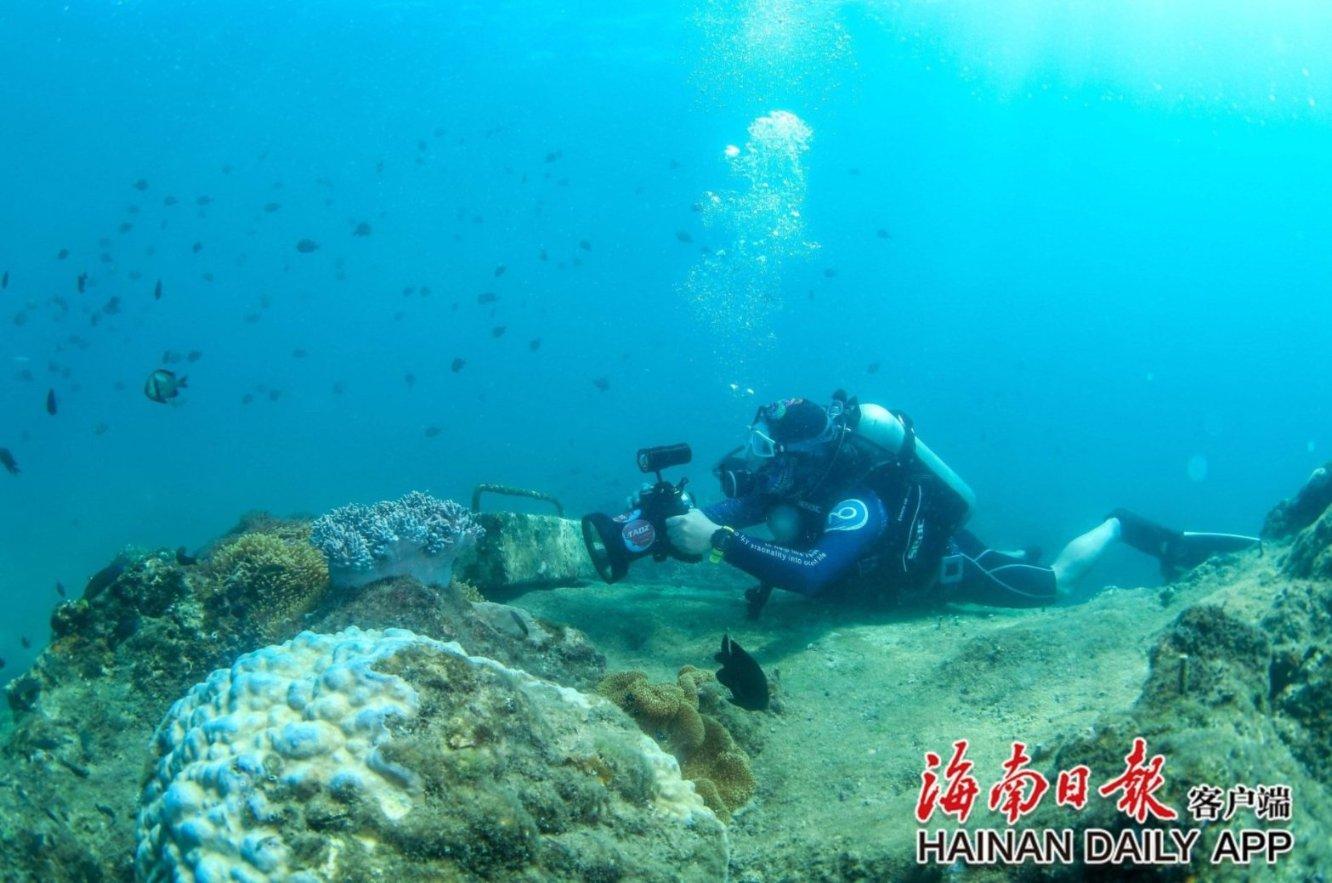 月光影视