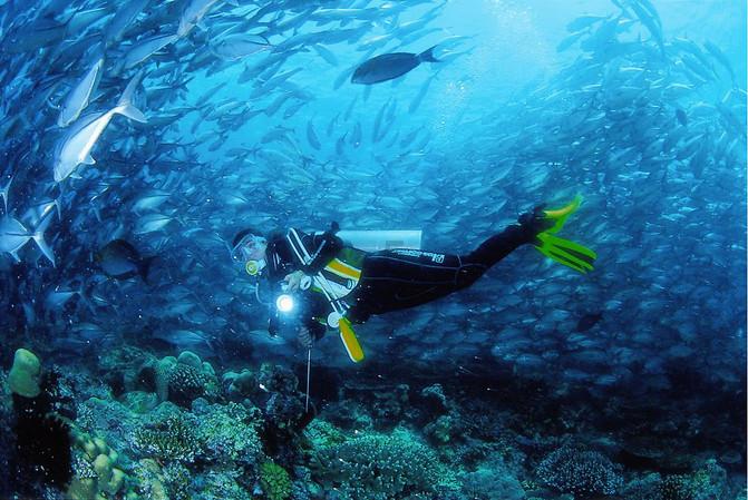 湘西州文化旅游广电局召开退休人员迎新春座谈会