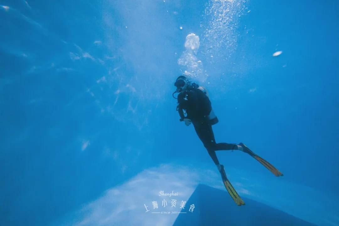 救援紫色生物
