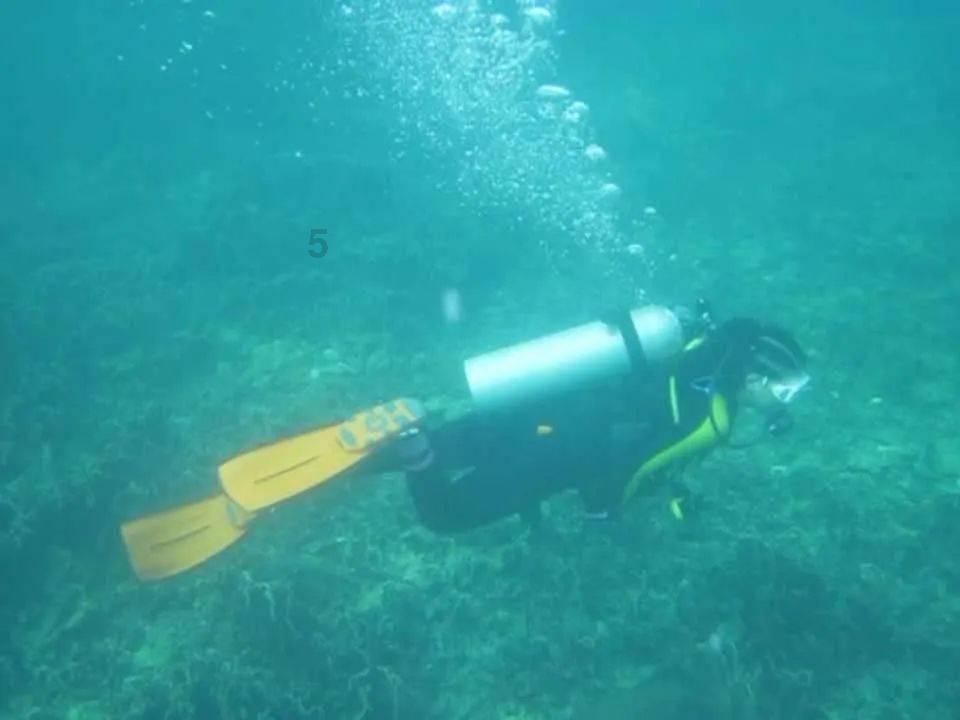 月光影视