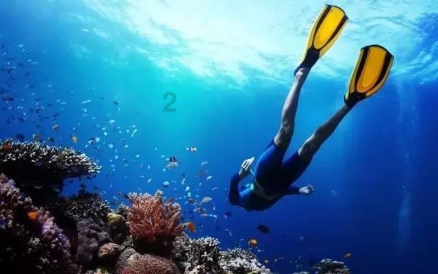2024春节山东乡村文化旅游节 | “洋”朋友爱上中国节