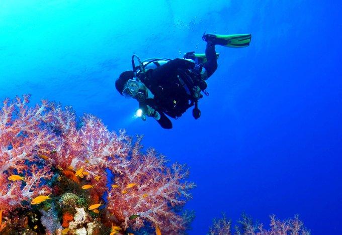 迎新春 送祝福 重庆韩泰为54户困难家庭送年货