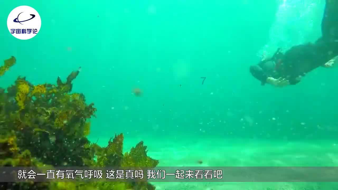 意想不到的旅程