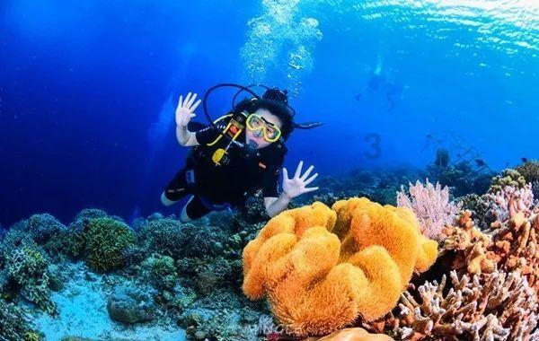 沪江开心词场