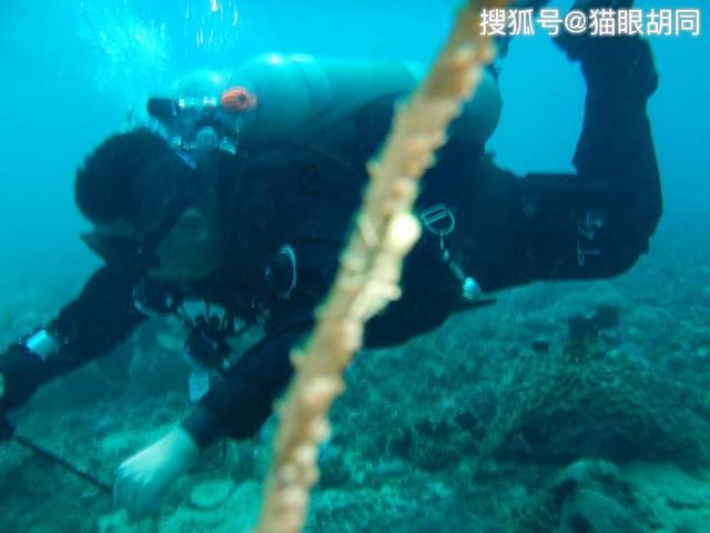 逃离地下古寺庙2