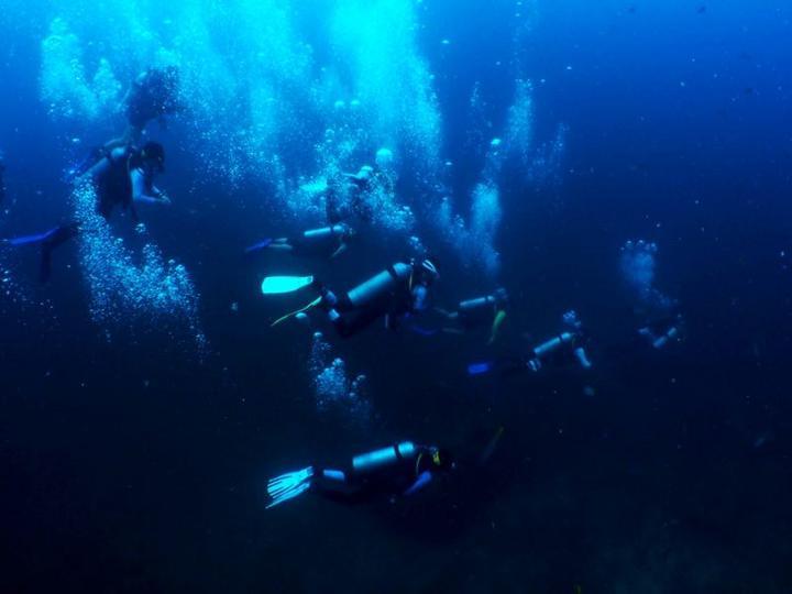 海绵宝宝寻珍宝