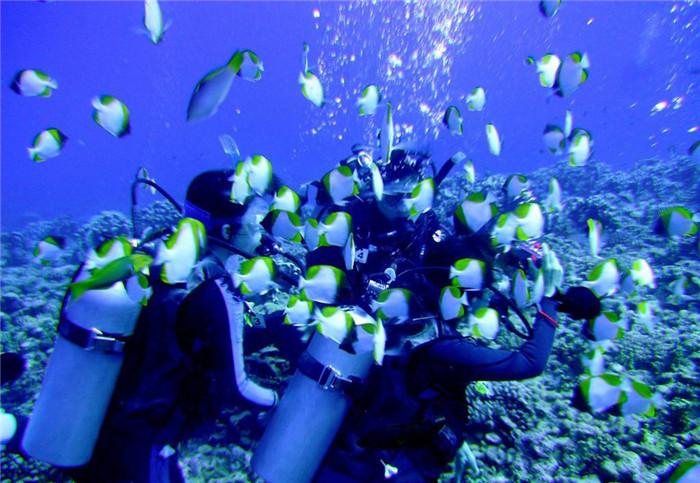 外星球体进黑洞