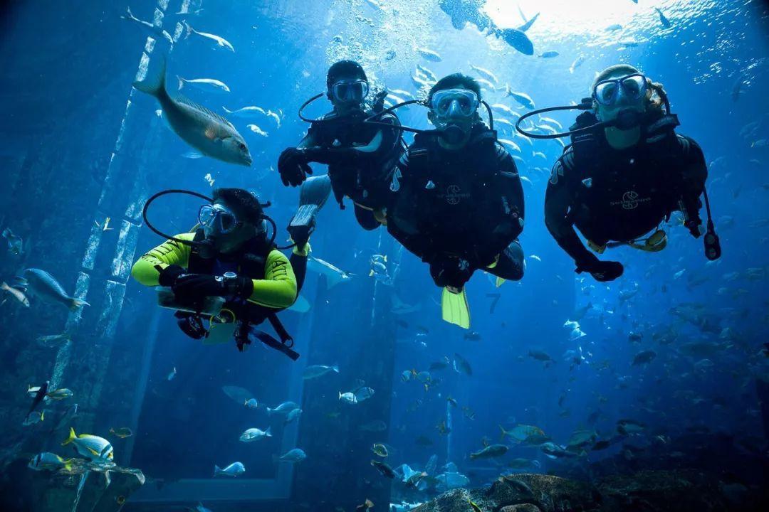 中国哪些大学的生物学比较好游戏画面
