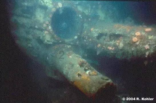 探探猫历险记2
