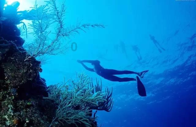 在47扣16中7失误蔡斌爱将带队2比3遭逆袭,朱婷替身持续低沉