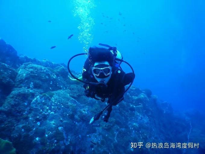 88影视
