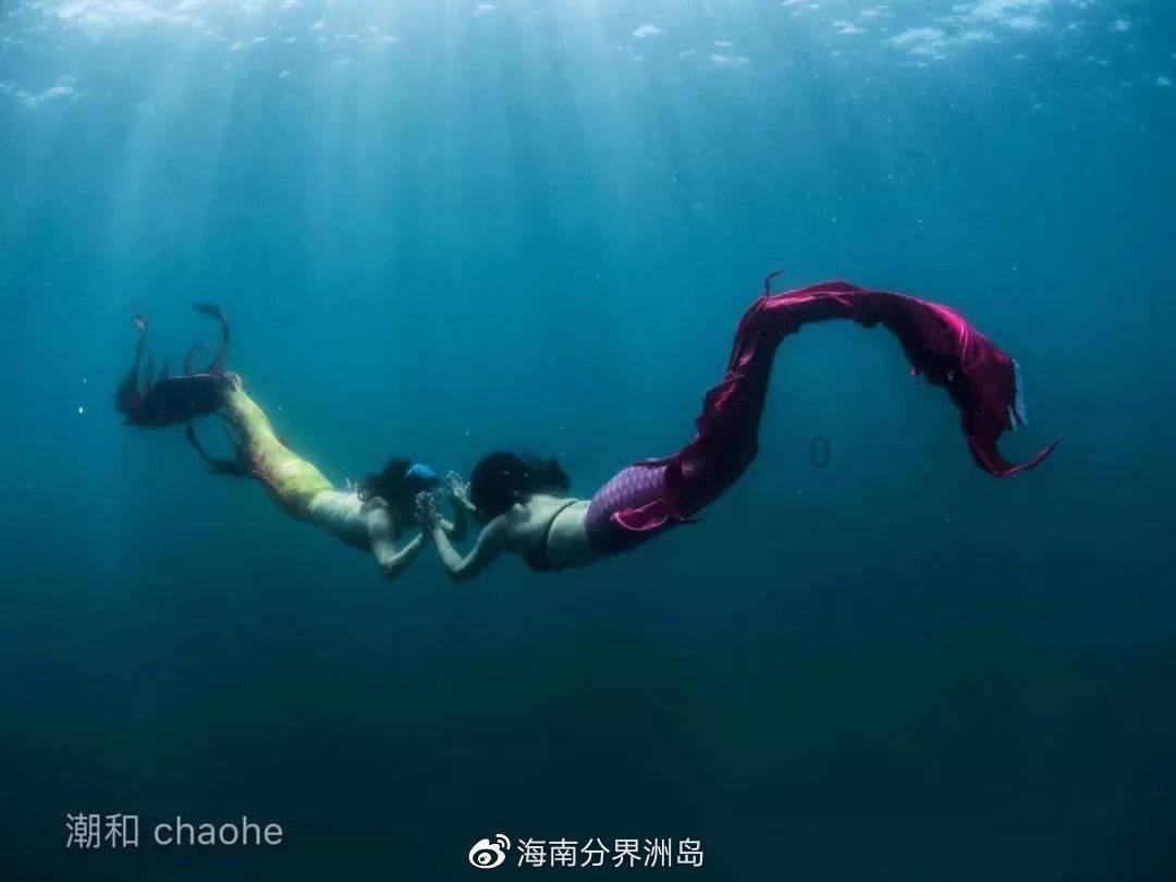 蓝狐视频